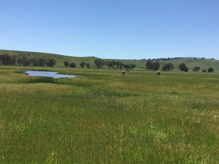 Fifth view of Homely rural property listing, 0 Ferry Hills Road, Dunrobin VIC 3312