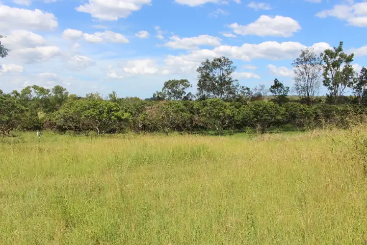 Second view of Homely rural property listing, 218 Mcilwraith Rd, Gin Gin QLD 4671
