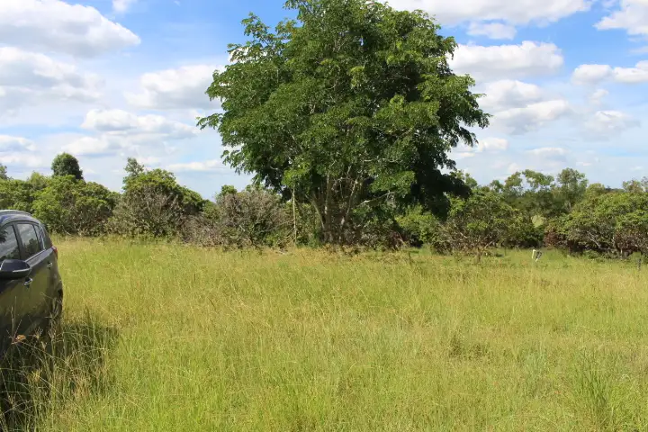 Fifth view of Homely rural property listing, 218 Mcilwraith Rd, Gin Gin QLD 4671