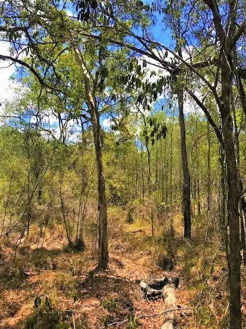 Second view of Homely land listing, Address available on request