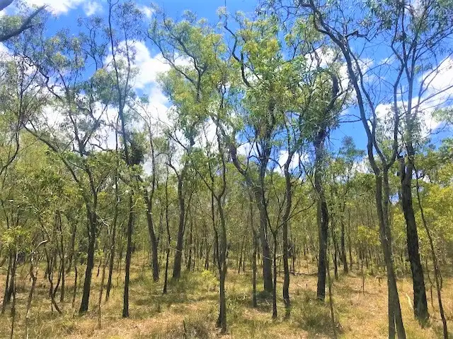 Third view of Homely land listing, Address available on request