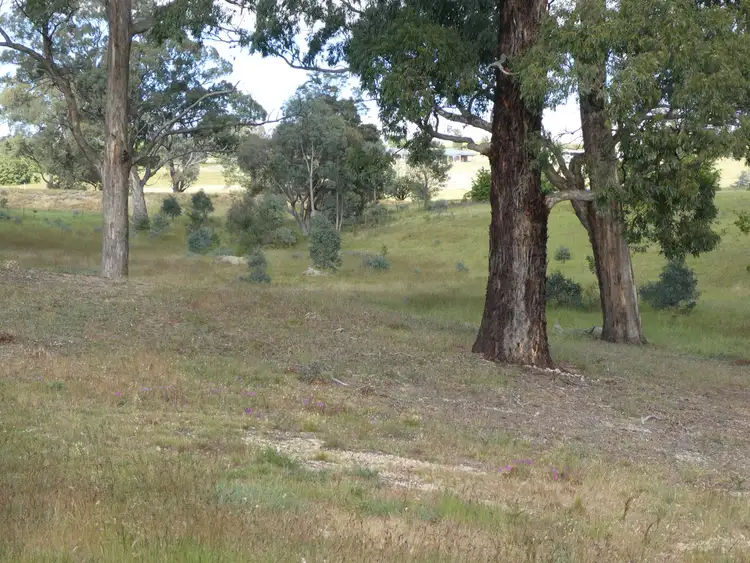 Seventh view of Homely rural property listing, 114 Rifle Butts Road, Beaufort VIC 3373