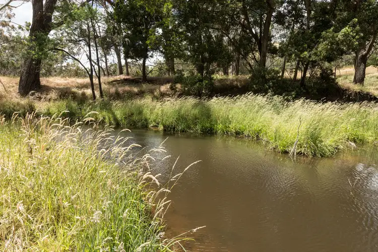 Second view of Homely rural property listing, 1202 Yarck Road, Gobur VIC 3719