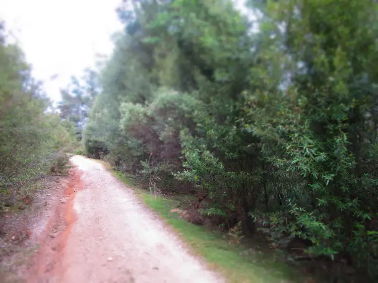 Second view of Homely rural property listing, - Bramich Road, Nook TAS 7306