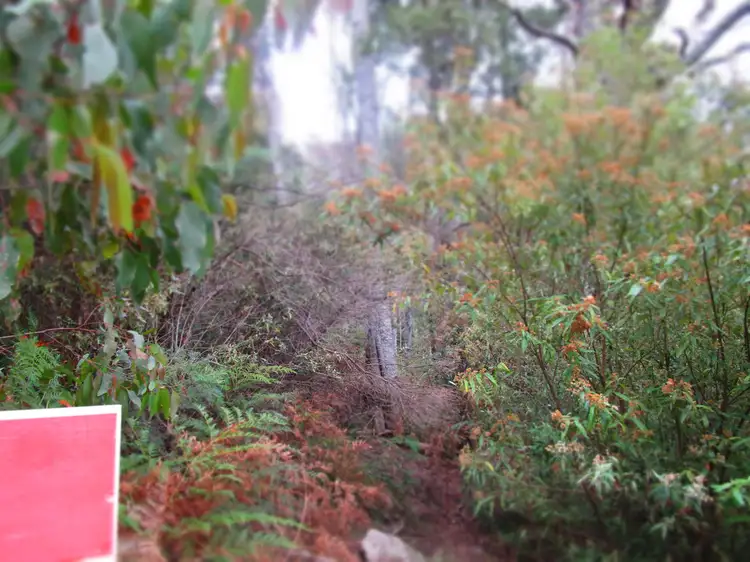 Third view of Homely rural property listing, - Bramich Road, Nook TAS 7306