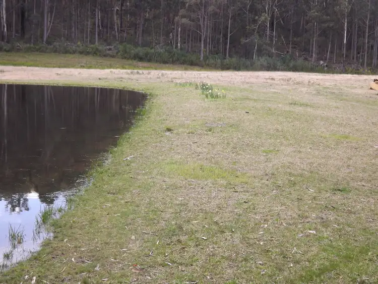 Fourth view of Homely land listing, 585 West Cann Road, Cann River VIC 3890