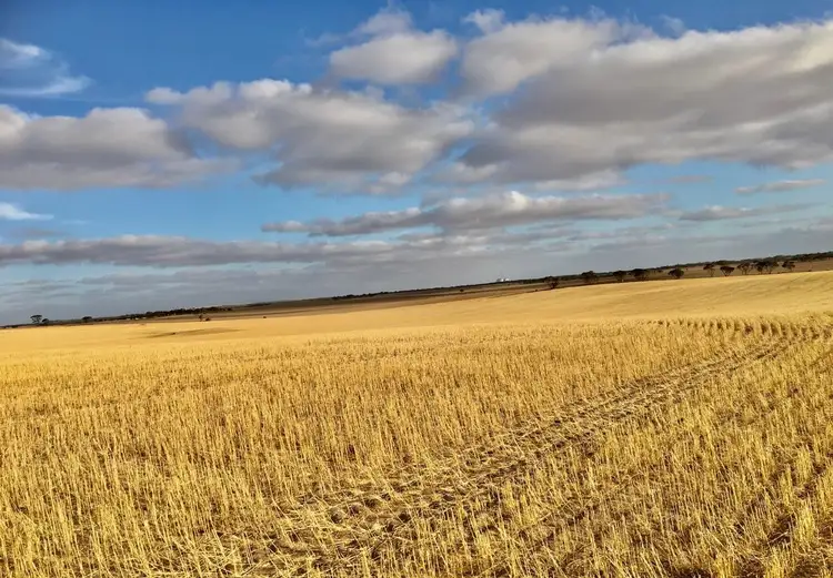 Fifth view of Homely rural property listing, 330 Nungi Road, Wirrulla SA 5661