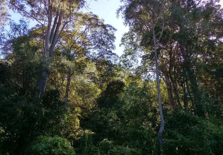 Seventh view of Homely land listing, 152 SCRUBBY CREEK ROAD, Gympie QLD 4570