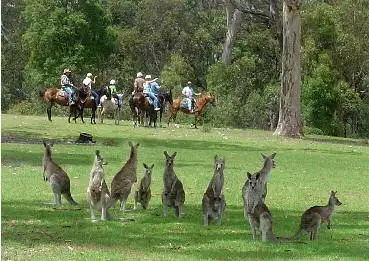 Second view of Homely land listing, 14 Dawan Close, Kendall NSW 2439