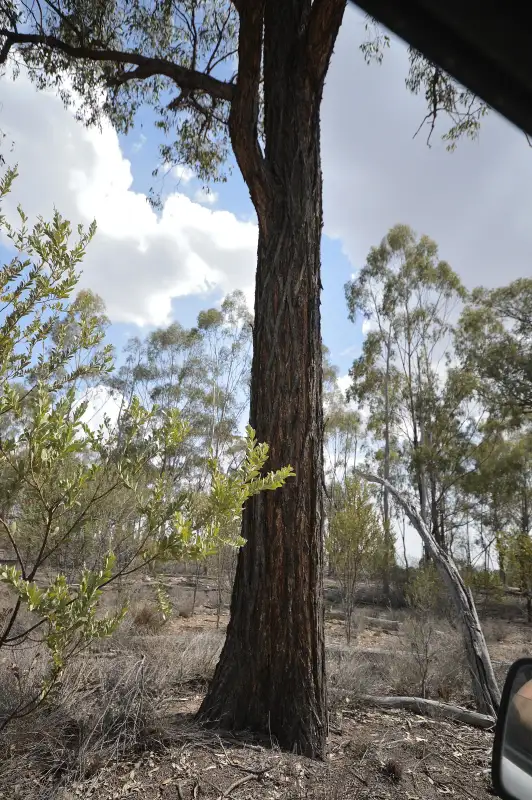 Second view of Homely rural property listing, 0 Cunningham Highway, Oman Ama QLD 4352