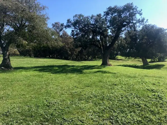 Lot 7 Clarke Road, Elgin WA 6237