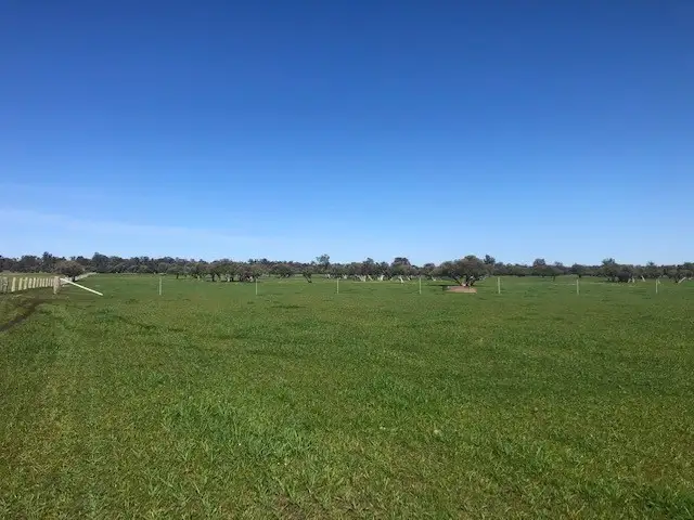 Sixth view of Homely rural property listing, Lot 7 Clarke Road, Elgin WA 6237