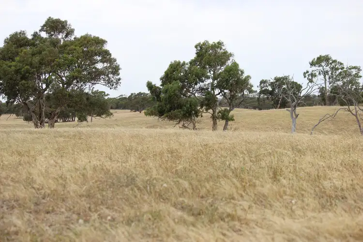 Second view of Homely rural property listing, 400 Lucas Road, Tintinara SA 5266