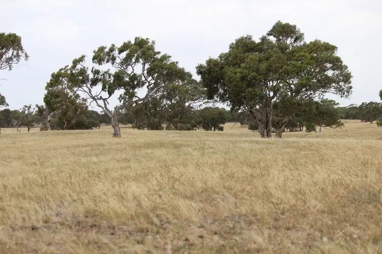 Third view of Homely rural property listing, 400 Lucas Road, Tintinara SA 5266