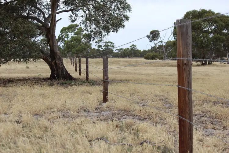 Fourth view of Homely rural property listing, 400 Lucas Road, Tintinara SA 5266