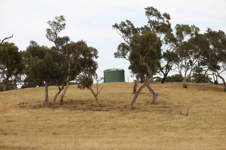 Seventh view of Homely rural property listing, 400 Lucas Road, Tintinara SA 5266