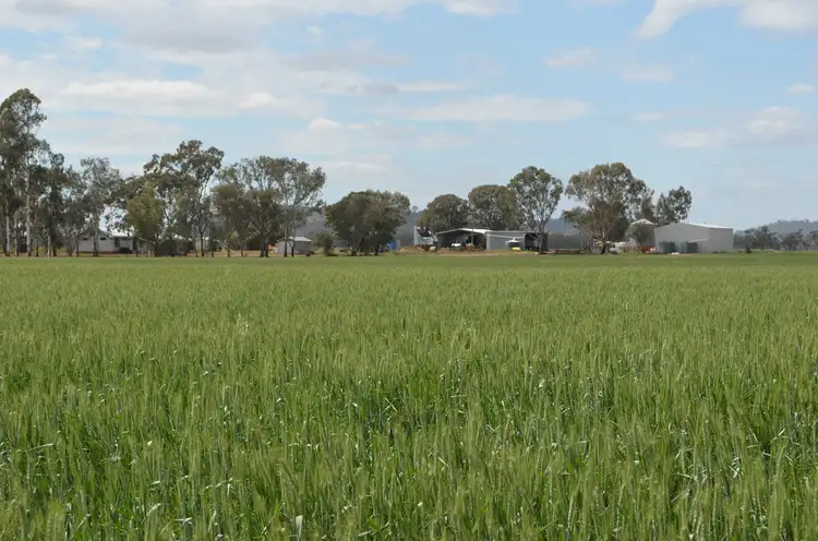 243 Bacons Road, Kelvinhaugh QLD 4401