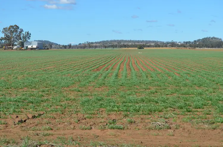 Seventh view of Homely rural property listing, 243 Bacons Road, Kelvinhaugh QLD 4401