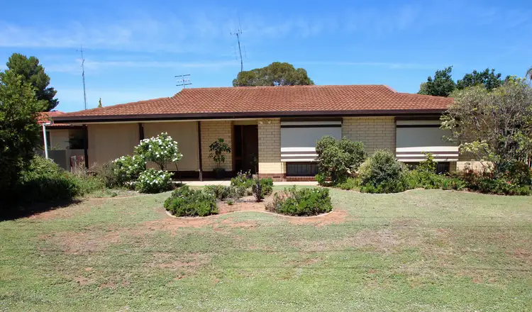 Main view of Homely house listing, 5 Ruston Street, Renmark SA 5341