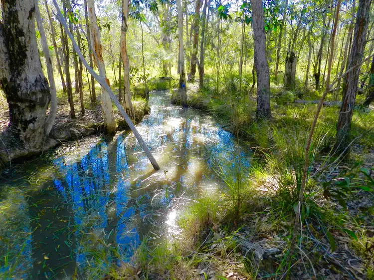 Main view of Homely land listing, 107 Range Road, Captain Creek QLD 4677