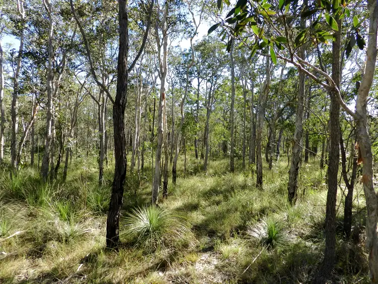 Fourth view of Homely land listing, 107 Range Road, Captain Creek QLD 4677