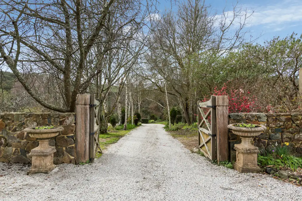 Main view of Homely rural property listing, 890 Mt William Road, Willowmavin VIC 3764