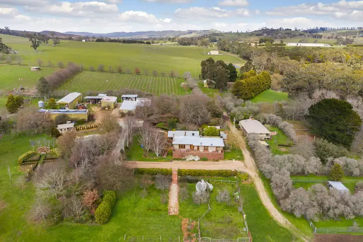 Second view of Homely rural property listing, 890 Mt William Road, Willowmavin VIC 3764