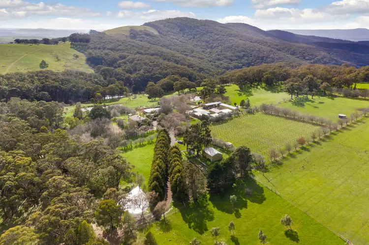 Third view of Homely rural property listing, 890 Mt William Road, Willowmavin VIC 3764