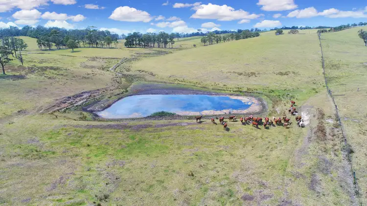 Sixth view of Homely rural property listing, 270 Nungurner Road, Nungurner VIC 3909