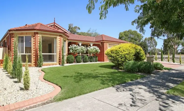 161 Cowan Street