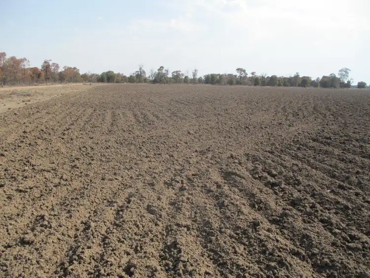 Main view of Homely rural property listing, 1350 ACRES SHEEP & CROPPING, Tara QLD 4421