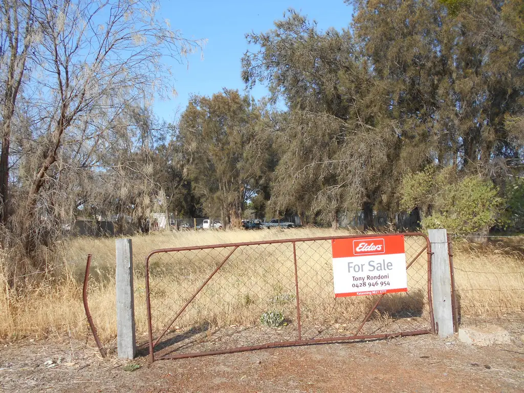 Main view of Homely land listing, 33 Piesse Street, Katanning WA 6317