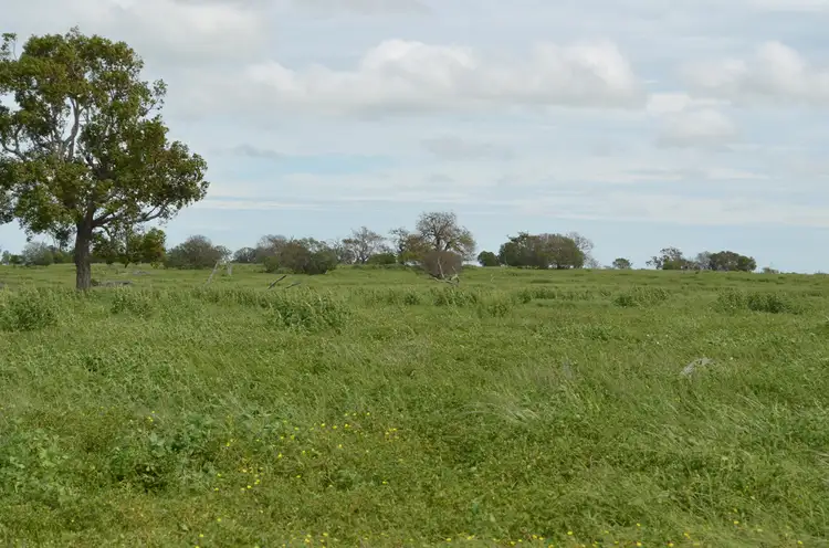 Third view of Homely rural property listing, 2389 Toowoomba-Karara Road, Felton QLD 4358