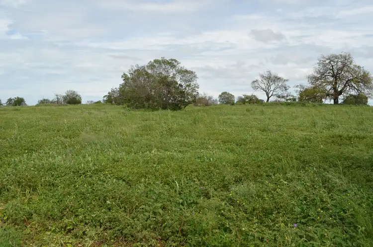 Fourth view of Homely rural property listing, 2389 Toowoomba-Karara Road, Felton QLD 4358