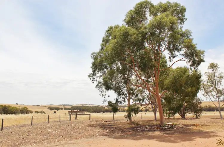 Fifth view of Homely rural property listing, 61 Buckland Rd, Irishtown via, Northam WA 6401