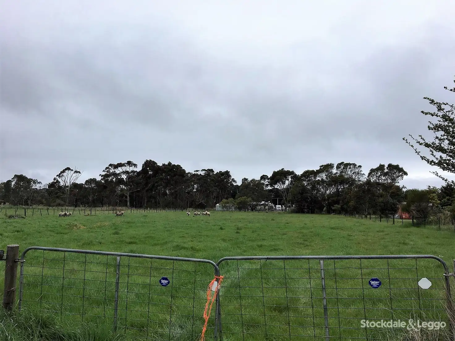 Main view of Homely land listing, Lots 5 & 6 Hawker Street,, Caramut VIC 3274