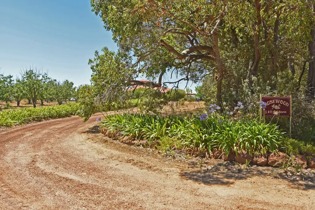 Main view of Homely rural property listing, 466 Brunton Road, Mount Barker WA 6324