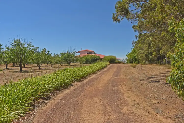 Second view of Homely rural property listing, 466 Brunton Road, Mount Barker WA 6324