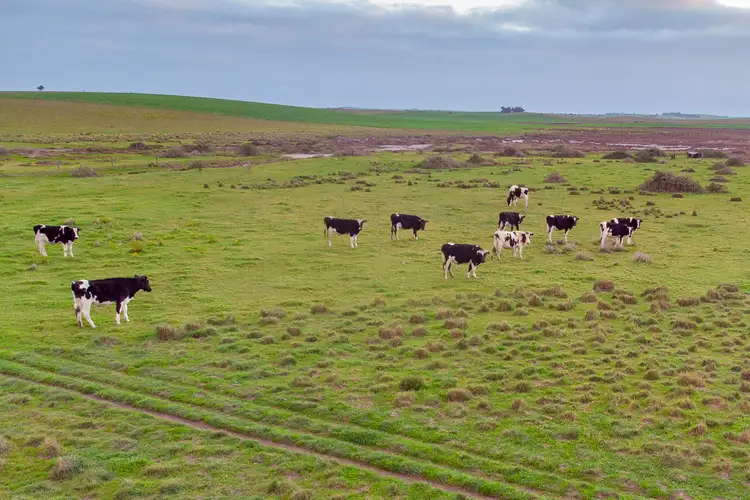 Third view of Homely rural property listing, 72 Wyes Road Waltowa Via, Meningie SA 5264