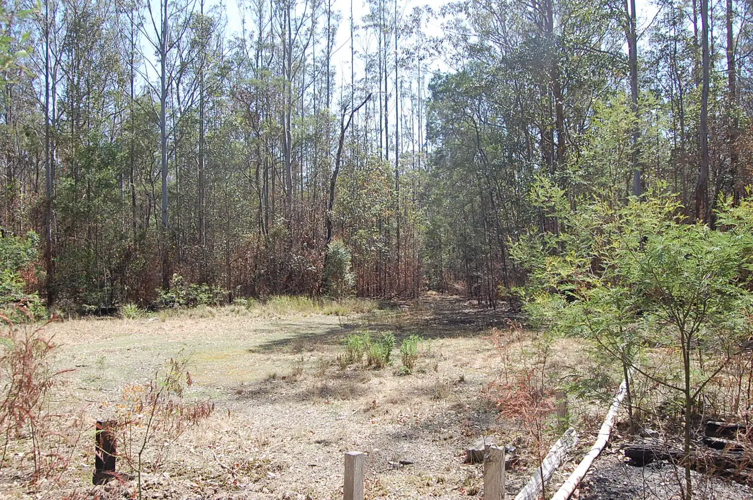 Main view of Homely rural property listing, Lot 8 Long Gully Road, Drake NSW 2469