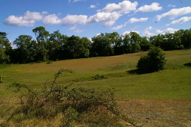 Fourth view of Homely land listing, 1 Short Street, Fingal TAS 7214