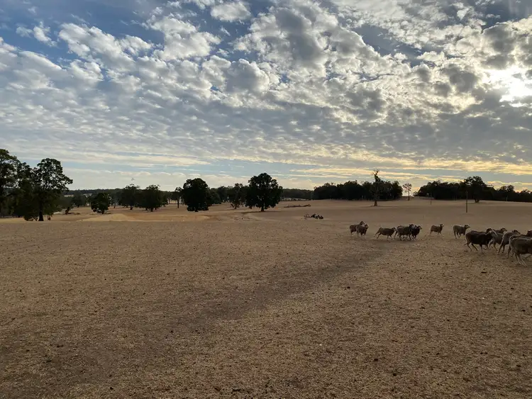 Fifth view of Homely rural property listing, 1661 Scotts Brook Road, Boyup Brook WA 6244