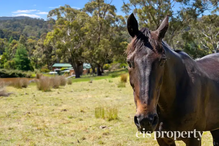 Fourth view of Homely land listing, 29 Selby Road, Kettering TAS 7155