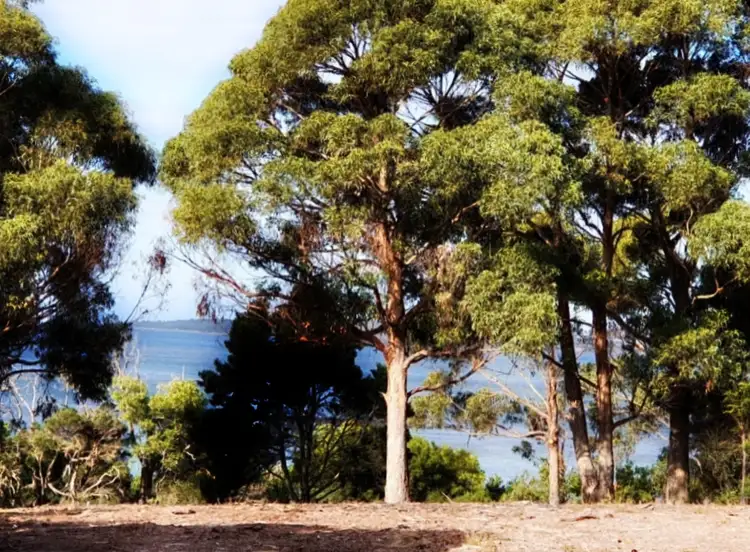 Lot 1 & 2/180 Badger Corner Road