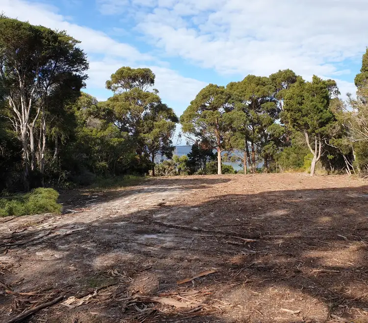 Second view of Homely land listing, Lot 1 & 2/180 Badger Corner Road, Lady Barron TAS 7255