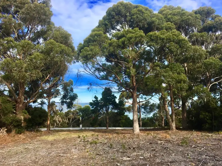 Fifth view of Homely land listing, Lot 1 & 2/180 Badger Corner Road, Lady Barron TAS 7255