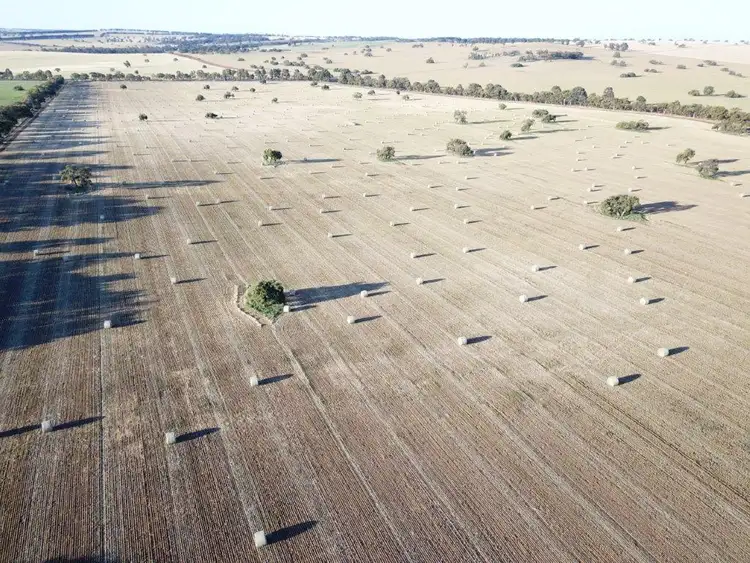 Second view of Homely rural property listing, 2150 BADGINGARRA ROAD, Badgingarra WA 6521