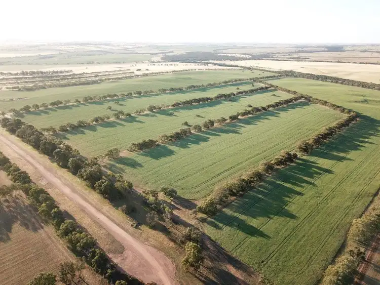 Third view of Homely rural property listing, 2150 BADGINGARRA ROAD, Badgingarra WA 6521
