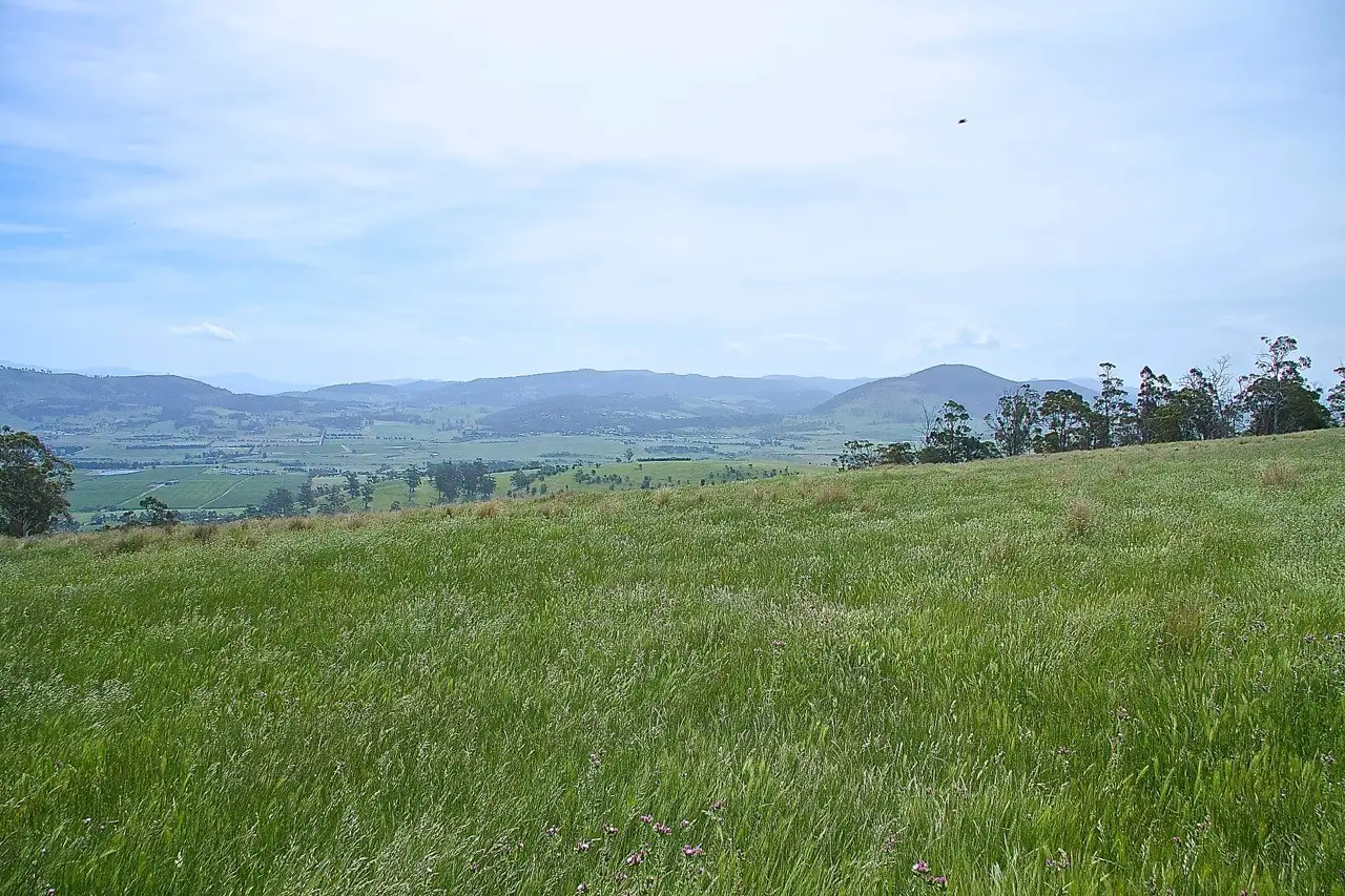 Main view of Homely land listing, Lot 5 (519) Fingerpost Road, Campania TAS 7026