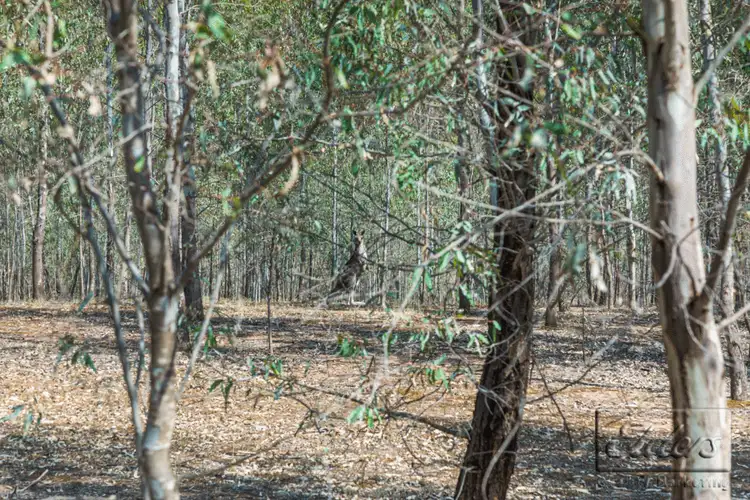 Third view of Homely land listing, 0 Corner Sandy Creek Road and Pullans Road, Maldon VIC 3463